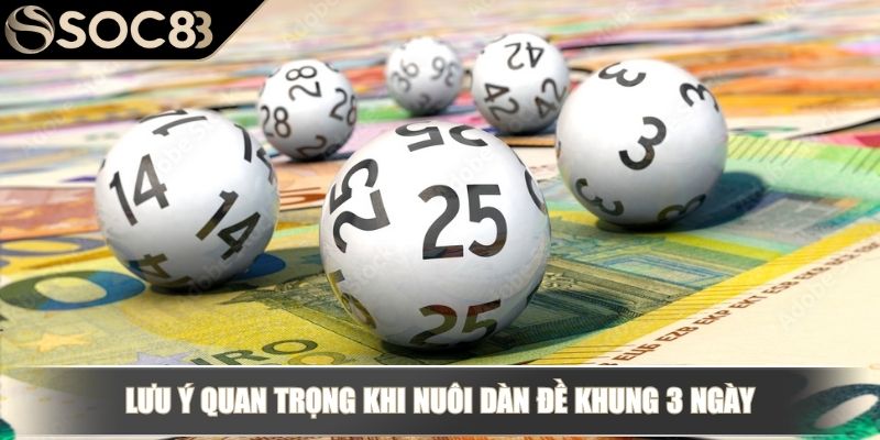 Dàn Đề Khung 3 Ngày – Chiến Thuật Nuôi Khung Hiệu Quả 4 Lưu ý quan trọng khi nuôi dàn đề khung 3 ngày