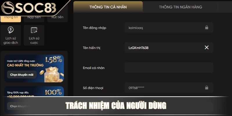 Điều Khoản Và Điều Kiện – Cam Kết Môi Trường Cá Cược An Toàn 3 Trách nhiệm của người dùng