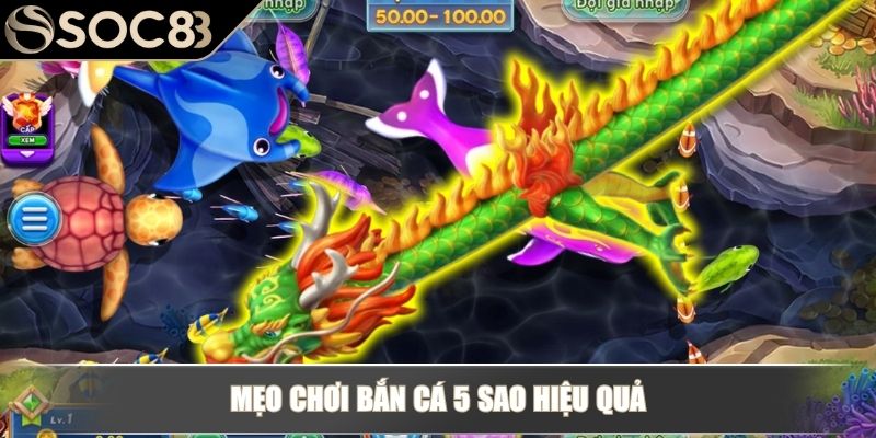 Bắn Cá 5 Sao – Trải Nghiệm Game Săn Thưởng Đầy Kịch Tính 4 Mẹo chơi bắn cá 5 sao hiệu quả